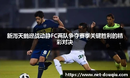新泻天鹅迎战动静FC两队争夺赛季关键胜利的精彩对决