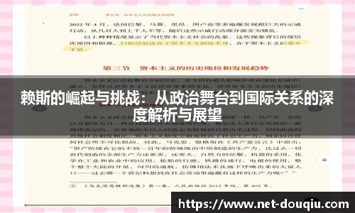 赖斯的崛起与挑战：从政治舞台到国际关系的深度解析与展望