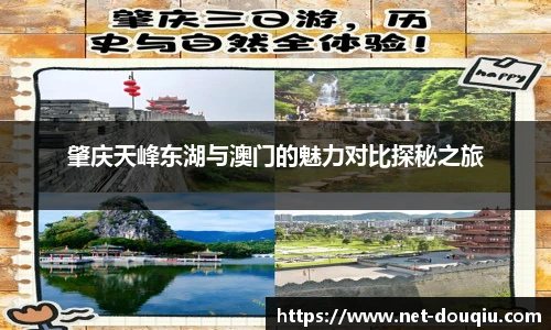 斗球高清直播